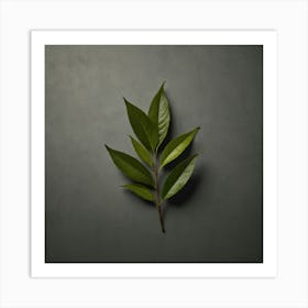 Tea Leaves Art 10 Art Print