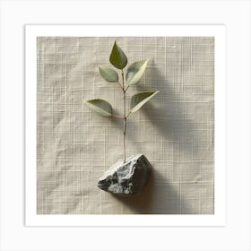 Eucalyptus 1 Art Print