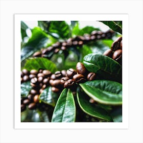 Coffee Beans On A Tree 18 Art Print