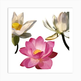 Lotus Flower 3 Art Print