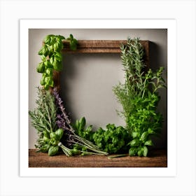 Frame Of Herbs 41 Art Print