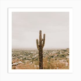 Cactus Over Phoenix Square Art Print