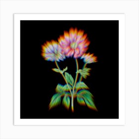 Prism Shift Hyacinth Botanical Illustration on Black n.0350 Art Print