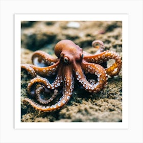 Octopus 11 Art Print