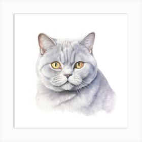 British Shorthair Cat Portrait 2 Art Print