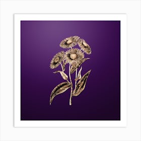 Gold Botanical Shewy Stenactis on Royal Purple n.2691 Art Print