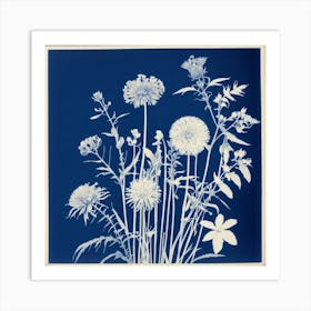 Flowers Photography In Style Anna Atkins (1) Art Print