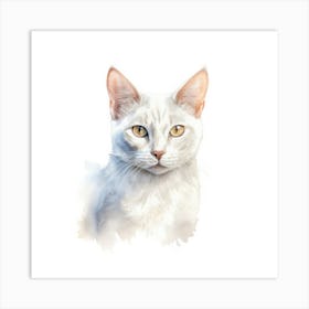 Burmilla Cat Portrait 3 Art Print