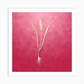 Vintage Lachenalia Pallida Botanical in Gold on Viva Magenta n.0899 Art Print