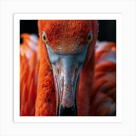 Flamingo 21 Art Print