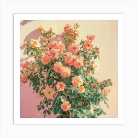 Pink Roses Art Print