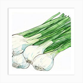 White Onions Art Print