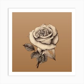 Rose flower scatch Art Print