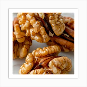 Pecans Art Print