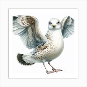 Gull 1 Art Print