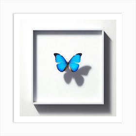 Blue Butterfly In A White Frame Art Print