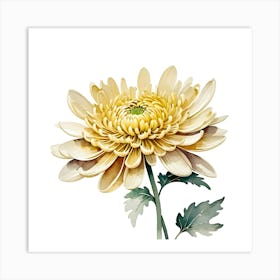 Yellow Chrysanthemum Art Print