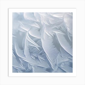 Frosty Feathers Art Print