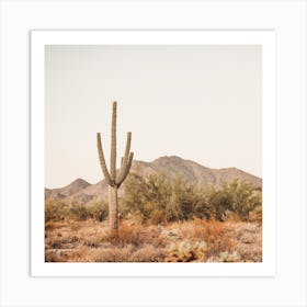 Saguaro Cactus Sunset Square Art Print