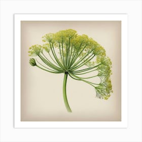 Fennel flower plants painting art print Art Print