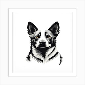 Australian Shepherd Dog3 Art Print