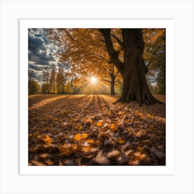 Autumn Beams Art Print