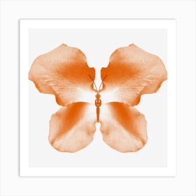 Orange Rose Petal Butterfly Art Print