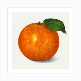 Orange Art Print