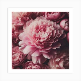 Large pink Peony flower 2 Art Print