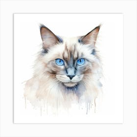 Neva Masquerade Cat Portrait 1 Art Print