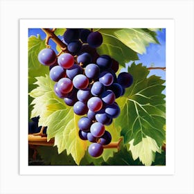 Grapes On The Vine 28 Art Print