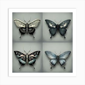 Four Butterflies Art Print