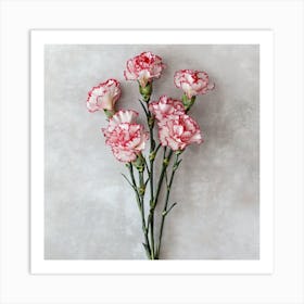 Carnations Art Print