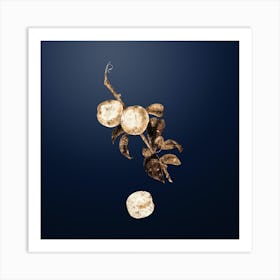 Gold Botanical White Walnut on Midnight Navy n.3668 Art Print