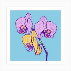 Orchids 15 Art Print