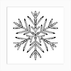 Snowflake 32 Art Print