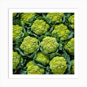 Cauliflower At The Market Art Print