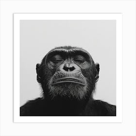 Chimpanzee 1 Art Print