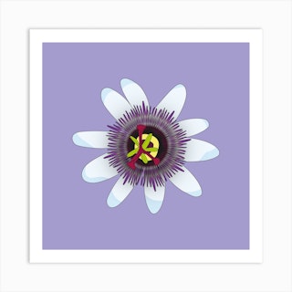 Lilac Passionfruit Flower Square Art Print
