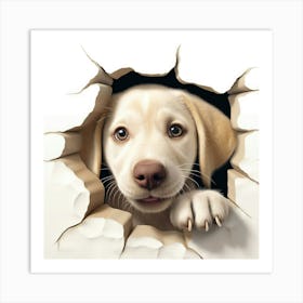 Dog Peeking Through A Hole 2 Art Print