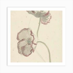 Two Poppy Flowers Art Print