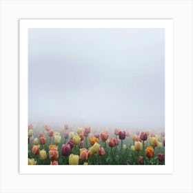 Foggy Tulips Art Print