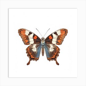 Butterfly 36 Art Print