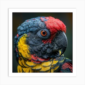 Colorful Parrot 29 Art Print