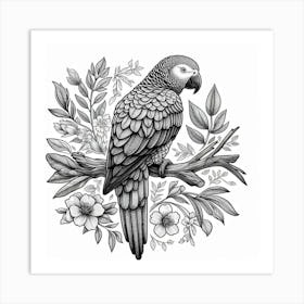 Line Art grey parrot Art Print