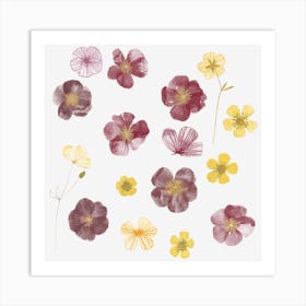 Watercolor Pressed Wild Flowers Art Print