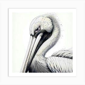 Pelican Head Creative Drawing - Wild Bird Artwork 103 Art Print