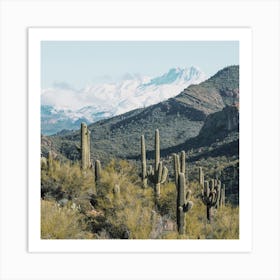 Snowy Desert Mountains Art Print