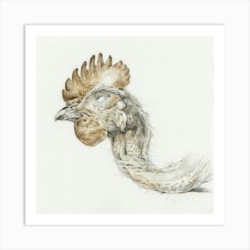 Head Of A Dead Chicken 1, Jean Bernard Art Print