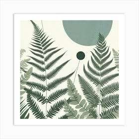 Ferns Canvas Print Art Print